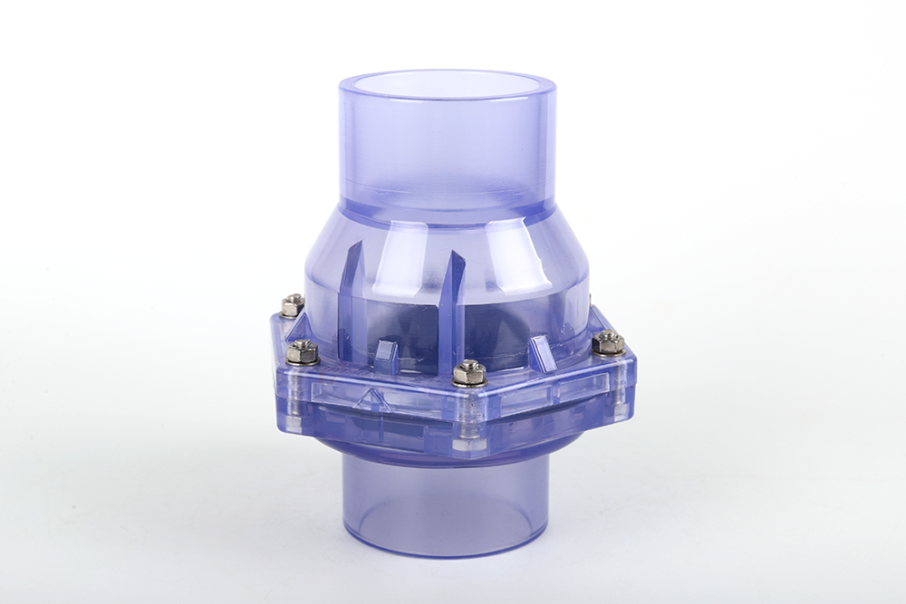 雷州透明翻板式止回阀